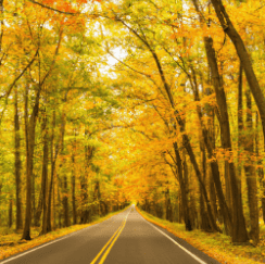 Best scenic drives on long island