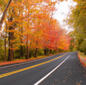 Best scenic drives on long island