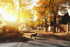 Best Places to Live in Suffolk County NY