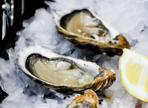 long islands top oyster bars
