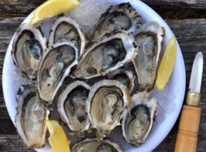 long islands top oyster bars